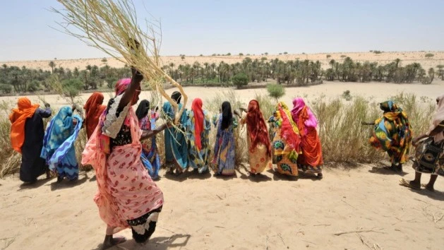 Women from the village of Boula-Ngara, in Chad, build a windbreak fence to protect the nearby river, enabling them to cultivate a market garden to meet the food needs of their families.