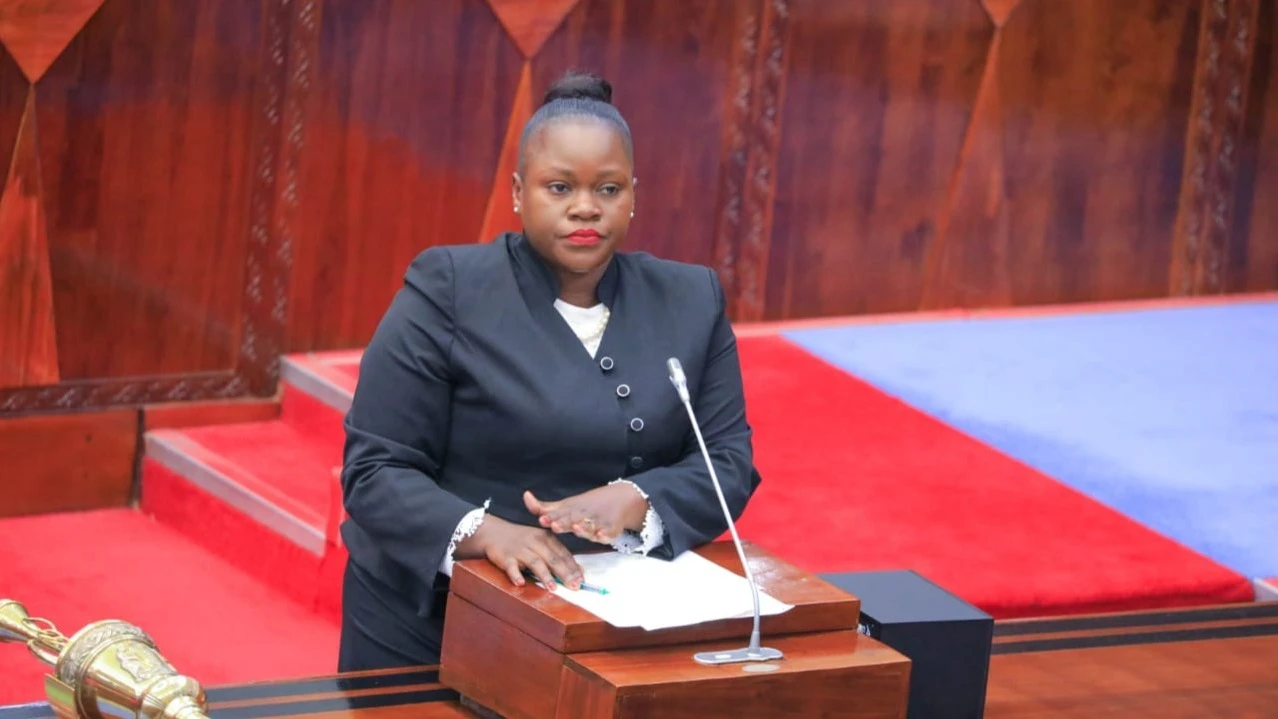 ENERGY Deputy Minister Judith Kapinga 