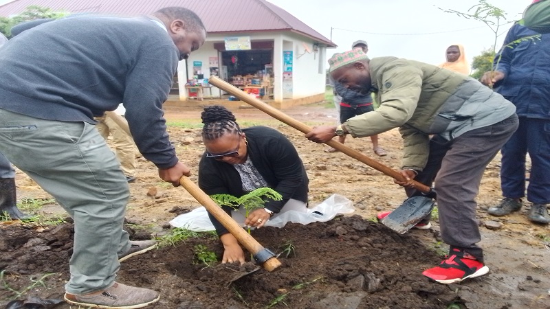 Same district administrative secretary Upendo Wella plants a seedling in Kisima ward during a tree planting drive implemented as part of the countdown to the commemoration of the 60th anniversary of the April 26 Union of Tanganyika, Zanzibar.