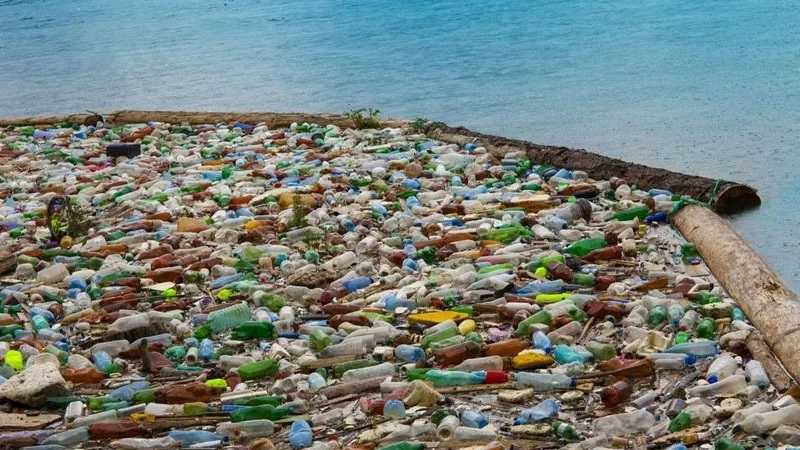 
Single-use plastics from food packaging such as plastic bottles float on top of the oceans and continue to pollute the marine ecosystem. 

 
