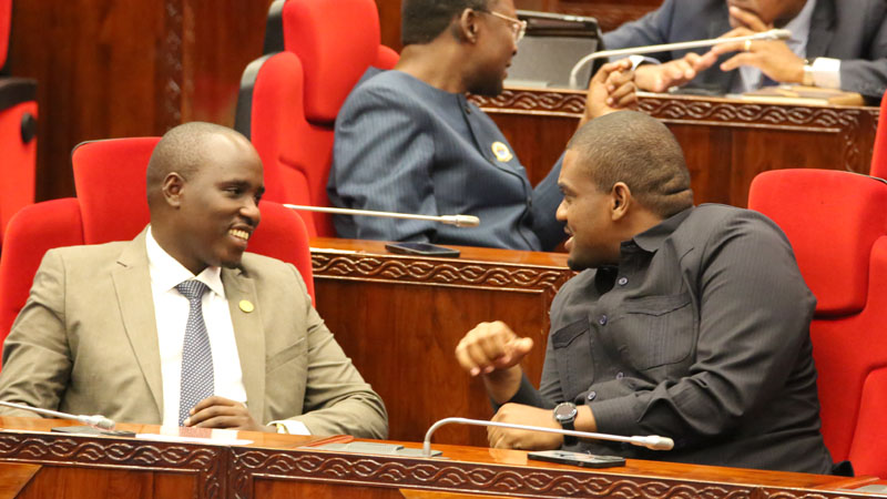 Deputy Prime Minister and Energy minister Dr Doto Biteko in a tête-à-tête with the Minister of State in the Prime Minister’s Office (Labour, Employment, Youth and the Persons with Disabilities), Deogratius Ndejembi (R), in the National Assembly 
