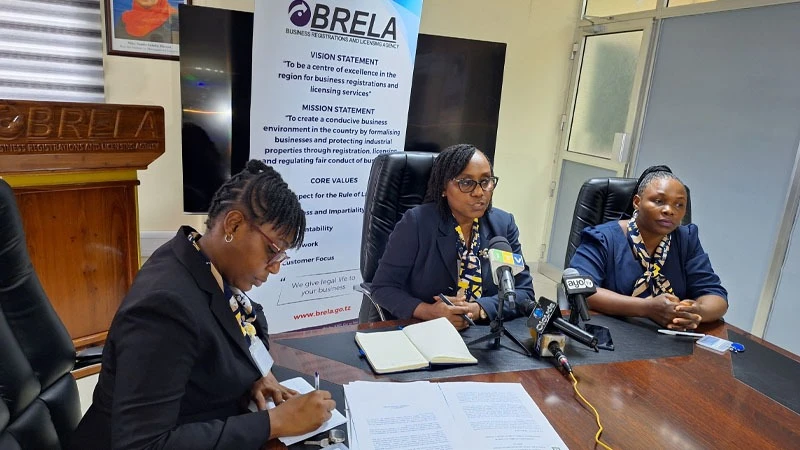 Loy Mhando (C), the Business Registration and Licensing Agency (BRELA) intellectual property director, speaks to journalists in Dar es Salaam yesterday on the World Intellectual Property Day being marked today. 