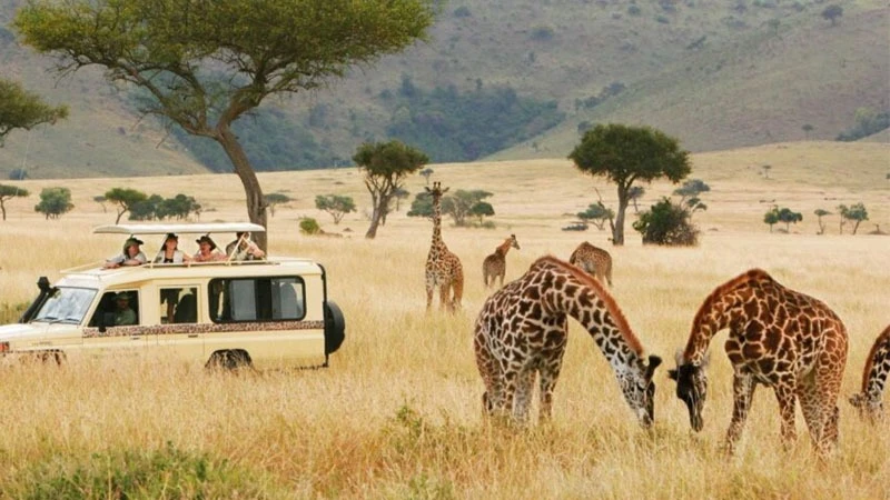 Tourists enjoying good sceneries of Serengeti National Park