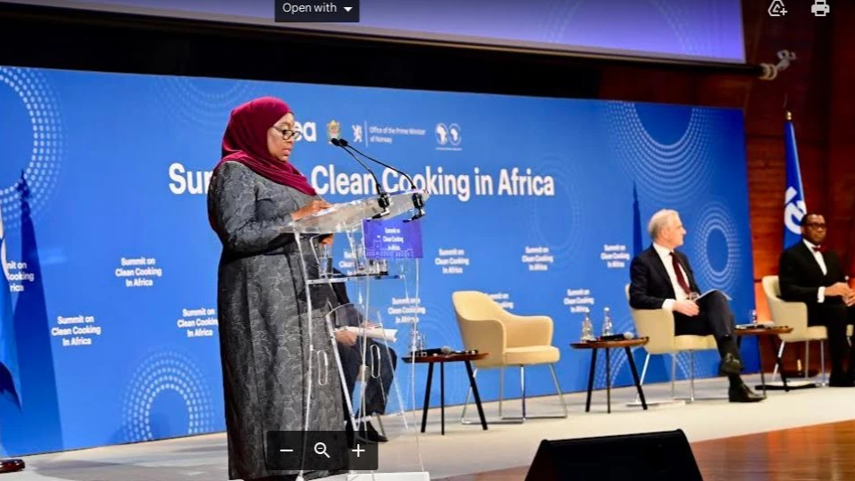 President Samia Suluhu Hassan pictured in Paris yesterday addressing a summit to which the International Energy Agency has invited global leaders to discuss Clean Cooking for Africa and of which she is Co-chairperson. 