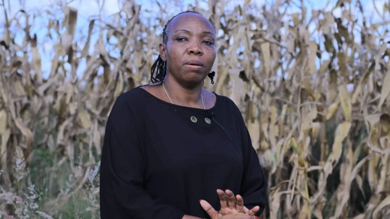 
Dr Sophia Kashenge, the Chief Executive Officer for Agriculture Seeds Agency (ASA).
