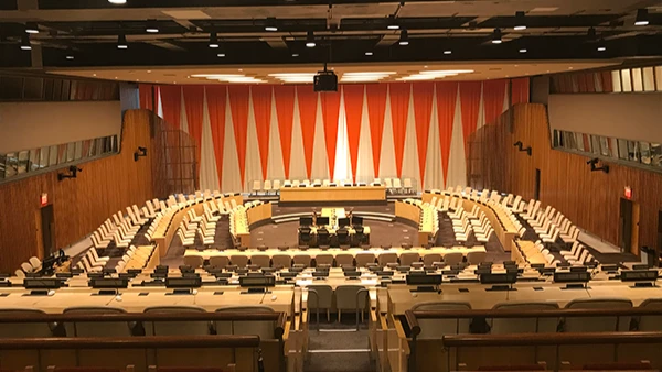 Economic and Social Council (ECOSOC) of the United Nations.