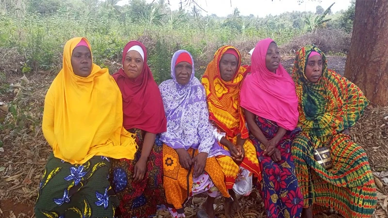 Tusilale women group members in Kitanga village, the beneficiary group of TASAF grants, poses in a group photo shortly after an interview.