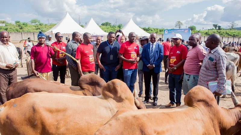 Ilala District Commissioner, Edward Mpogolo (4th R) listens to the Head of the Livestock Auction at the Pugu Livestock Market, Noel Byamungu (5th R) during the launch of financial scheme for livestock sub-sector.